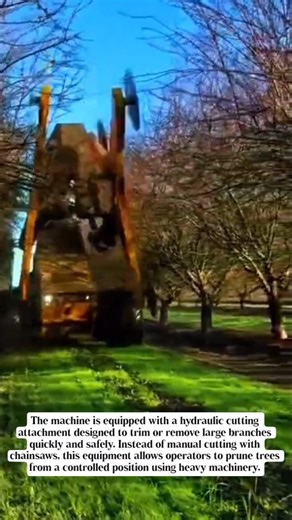 Powerful Tree Branch Cutting Machine | Fast & Efficient Pruning Technology