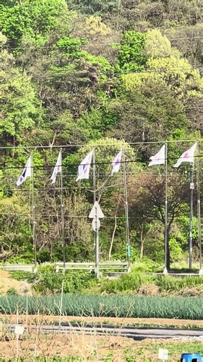 제대로 관리 안되는 국기게양대… 외줄에 달린 태극기