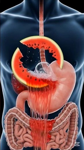 What Happens Inside Your Body When You Eat Watermelon 🍉 | Hydration & Health Benefits#healthtips