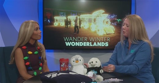 Wild Lights returns to Detroit Zoo for 13th season