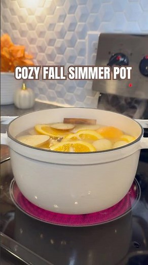 COZY FALL SIMMER POT RECIPE | HOW TO MAKE YOUR HOME SMELL COZY FOR FALL