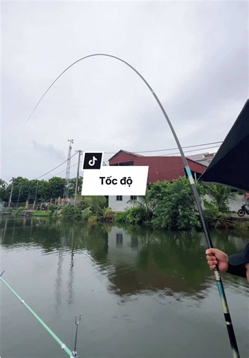 Tận dụng mọi cách câu để bắt sạch cá trong ổ #chungnguyenfishing #fishing