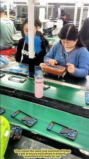 Silent Assembly Line: Where Precision Meets Patience.