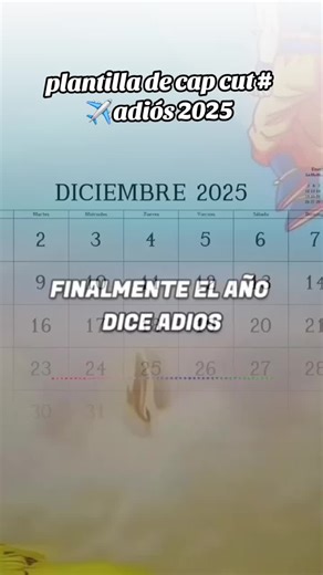 Despedida del 2025: Un Año de Lucha y Perseverancia