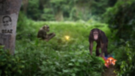 Taken from JRE #2434 w/Kurt Metzger YouTube: https://youtu.be/LIhkYiYLON0 JRE on Spotify: https://open.spotify.com/show/4rOoJ6Egrf8K2IrywzwOMk Don’t miss out on all the action this week at DraftKings! Download the DraftKings app today! Sign-up using https://dkng.co/rogan or through my promo code ROGAN. GAMBLING PROBLEM? CALL 1-800-GAMBLER, (800) 327-5050 or visit gamblinghelplinema.org (MA). Call 877-8-HOPENY/text HOPENY (467369) (NY). Please Gamble Responsibly. 888-789-7777/visit ccpg.org (CT),