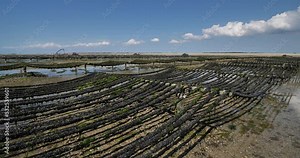 Mussel farm, Agon Coutainville, Normandy in France