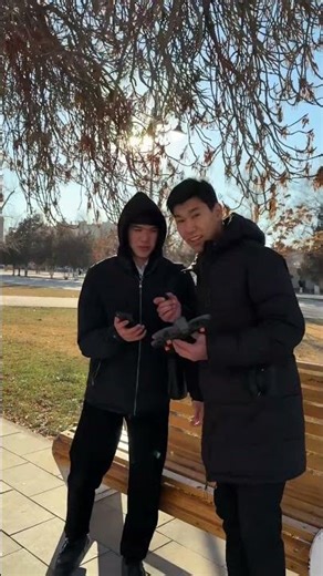 17 декабря 2025 г.