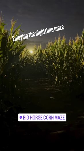 🍂🐴✨ The Big Horse Corn Maze is calling all adventurers! 🌽 Are you ready to explore by day or under the stars? 🌙✨ Gather your crew and get lost in the fun! 🗺️💛 Check our website for opening hours & ticket prices. Let’s make unforgettable memories! #CornMazeAdventures #FallFun | Big Horse Corn Maze