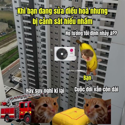 Khi đang sửa điều hoà mà bị hiểu lầm là ăn lẩu #cat #meme