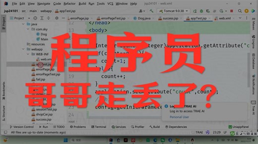 exception错误页面的后续处理