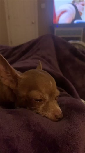 Leila! The princess, ladybug. She knows she is a diva