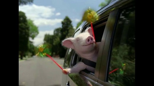 GEICO TV Spot, 'March Madness: The Best of GEICO: Maxwell the Pig'