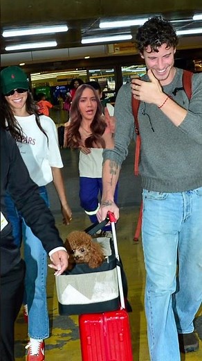 Official pap shots of Shawn Mendes, Bruna Marquezine, and one very cute pup 🥰 #therundown
