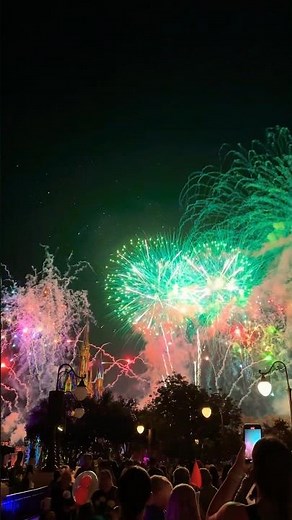 Happily Ever After fireworks finale at Magic Kingdom! 💥