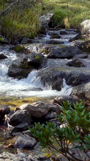 1 Hour Mountain Stream Flow | Pure Water Sounds for Study & Focus | Nature White Noise 4K