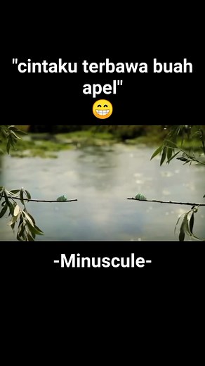 17K views · 669 reactions | #minuscule #movies #series #caterpillar #funny #fyp #animation #viral #trending #foryou #fypagee #semuaorang #community #digitalcreator #masukberanda | Kang Rahmat | Facebook