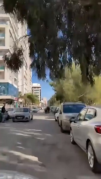 Vidéos de moda italia 🇮🇹 USTO 🇮🇹 (@modaitaliaoran) avec son original - moda italia 🇮🇹 USTO 🇮🇹