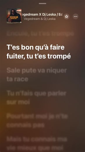 La Fuite - Vegedream: Paroles et Musique