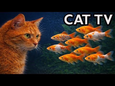 🔴 LIVE Cat TV Fish Tank | Fish for Cats to Watch (4K HDR, No Music) Aquarium for Cats