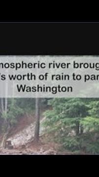 Western Washington storm impact recap