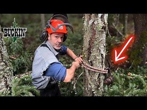 Every Woodman NEEDS This Tool In His Truck