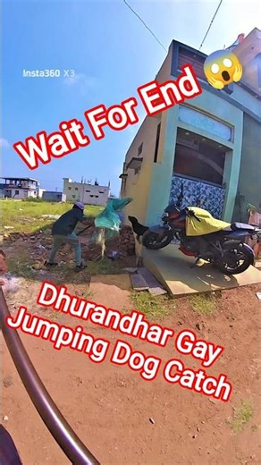 FA9LA Street Dog Catching Gojo