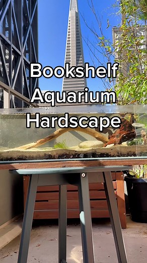 Bookshelf Aquarium Hardscape Ideas and Plant Suggestions