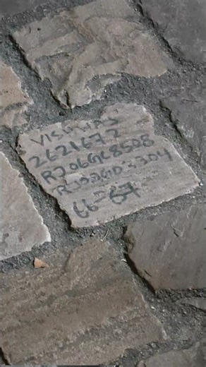 Nieuwe ontdekking Danse Macabre... #shorts #efteling #dansemacabre #memes