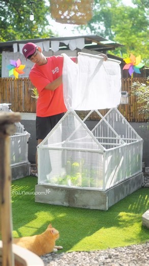 A small greenhouse for growing vegetables 🥬 #GrowYourOwnVegetables #HomeGarden #Gardening