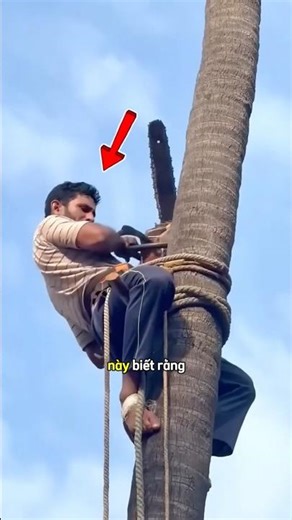 The man skillfully chopped down the tree from a great height 😅 #shortsviral #shortvideo