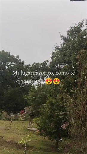 #monchis
