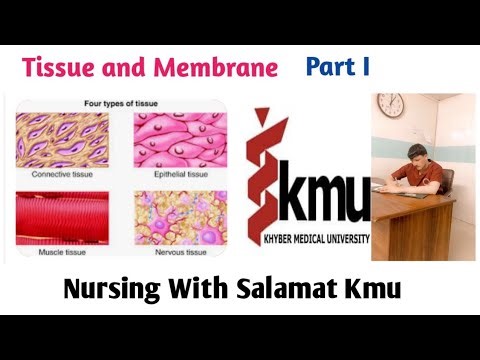 Tissue and Membrane anatomy and physiology Part l for #nursing & #medical Students in simple pashto.