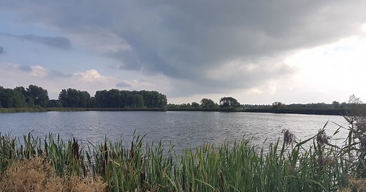 Introduction videos – Scalgo