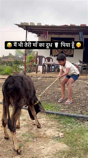 😂 मैं भी तेरी माँ का दूध 🥛 पिया हूँ 🫢 #comedy #viral #funny #ytshorts #cow #ytviral #ytreels ￼￼