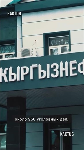 The head of the State Tax Service explained why Kyrgyzneftegaz was not audited under Tashiev.