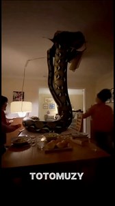 📱 Ceiling Collapses During Family Dinner… and What Falls Next Is Terrifying! 😱 A peaceful family dinner turns into pure chaos when the ceiling crashes down — and a huge python drops onto the table! #Shorts #ShockingMoments #RealisticAI #FamilyDinner #PythonAttack #Unexpected #ViralShorts #CrazyVideo #PhoneFootage #AIvideo | Ai Vortex Beats