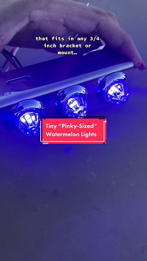 Pinky-Sized 4 LED Watermelon Lights for Trucks