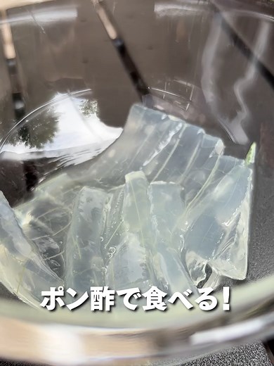 1分でわかるアロエの食べ方 #tiktok教室 #田舎暮らし #おすすめに乗りたい #古民家暮らし #古民家 #ひみつ基地