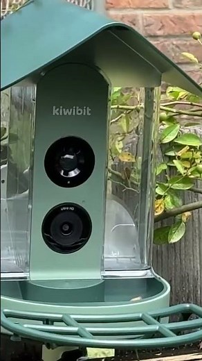 Introduction to the Best Smart Bird Feeder with Camera