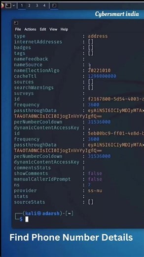 Find Phone Number Detail #coding #python #truecaller