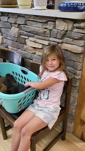 369 reactions · 24 comments | What do you say about those dogs? | DocsBenandErin | Facebook