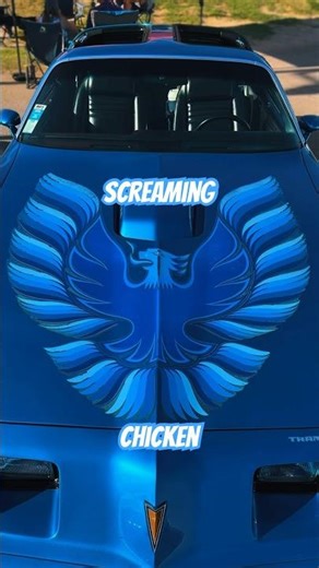 Blue Pontiac Trans Am + Rad Screaming Chicken #pontiac #screamingchicken #musclecar #blue #maradyne