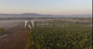 Aerial view ; Rows of soil before planting.Tobacco farm pattern in a plowed field prepared