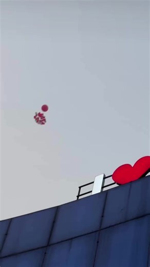 𝘵𝘪𝘵𝘩𝘦🕊️ (@another_tithe)’s videos with original sound - 𝘵𝘪𝘵𝘩𝘦🕊️