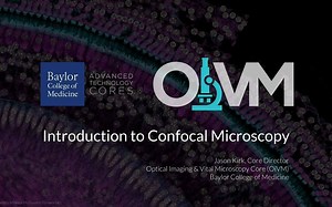 Introduction to Confocal Microscopy