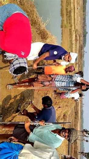 నోటికి అందించే మన రైతన్నకు జై అనుకొనేవారుఒక లైక్ #raitanna #అగ్రికల్చర్ #short #song