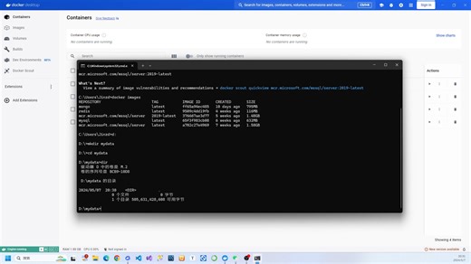 Docker-SQL Server-外部数据