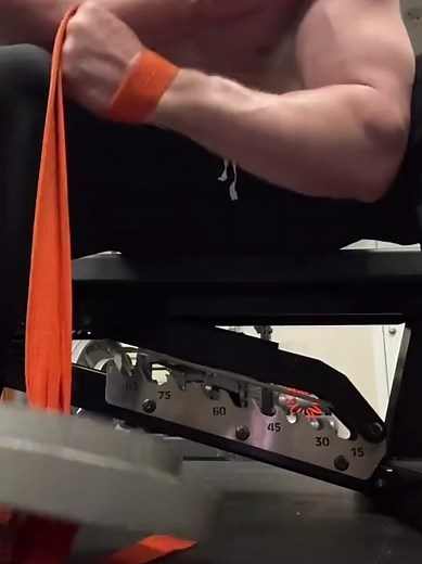 David Laid: The Rise of an Arm Wrestling Champion