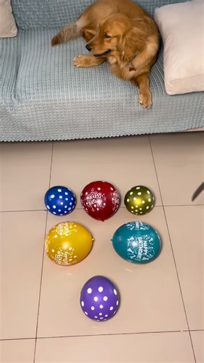 Calm & Cozy | HBD 🎁 Baloon ASMR | Instagram