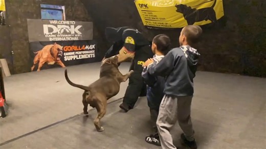 Meet the Most Amazing Dogs in the World—DDK9 Forever